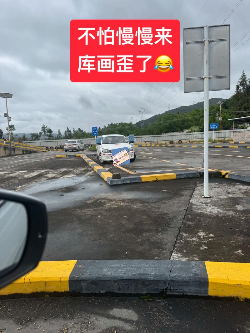 駕校奇葩圖鑒 那些年我們一起笑過的科二